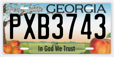GA license plate PXB3743