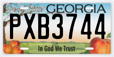 GA license plate PXB3744