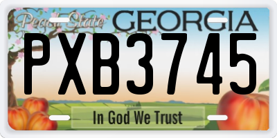 GA license plate PXB3745