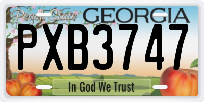 GA license plate PXB3747