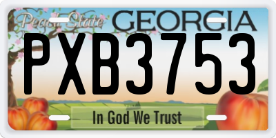 GA license plate PXB3753