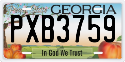 GA license plate PXB3759