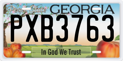 GA license plate PXB3763
