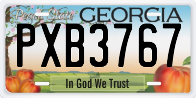 GA license plate PXB3767