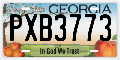 GA license plate PXB3773