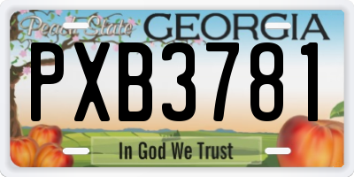 GA license plate PXB3781