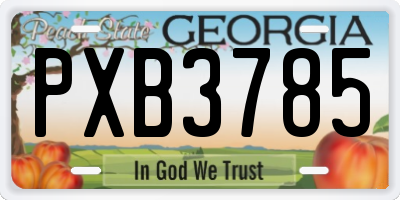 GA license plate PXB3785