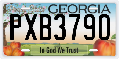 GA license plate PXB3790