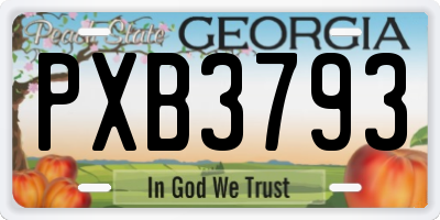 GA license plate PXB3793