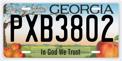 GA license plate PXB3802