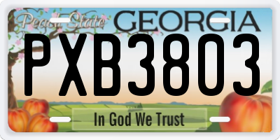 GA license plate PXB3803