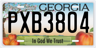 GA license plate PXB3804