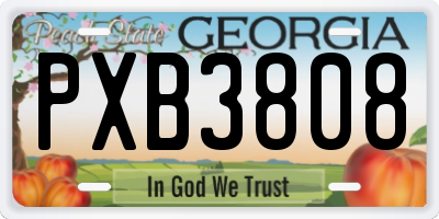 GA license plate PXB3808