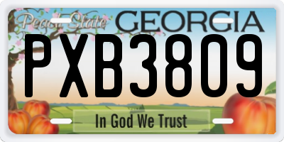 GA license plate PXB3809