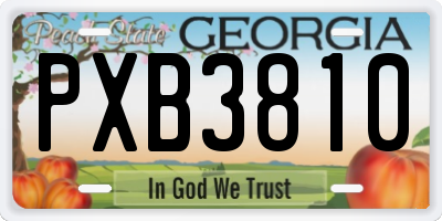 GA license plate PXB3810