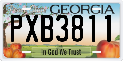 GA license plate PXB3811