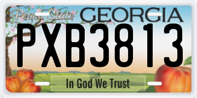 GA license plate PXB3813