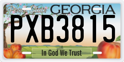 GA license plate PXB3815