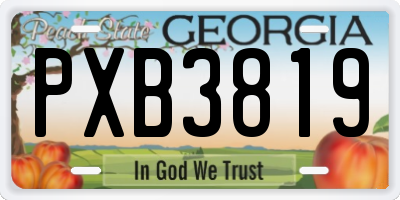 GA license plate PXB3819