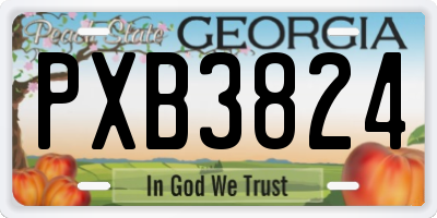 GA license plate PXB3824