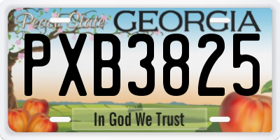 GA license plate PXB3825