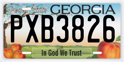 GA license plate PXB3826