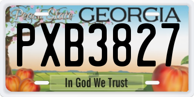 GA license plate PXB3827