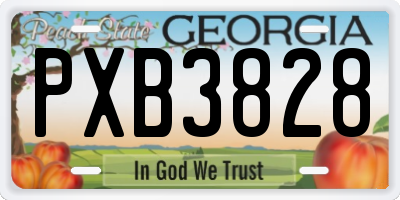 GA license plate PXB3828