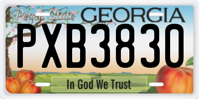 GA license plate PXB3830