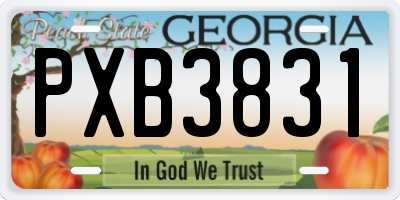 GA license plate PXB3831