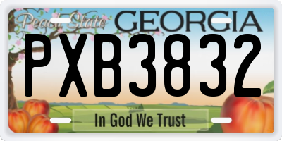 GA license plate PXB3832