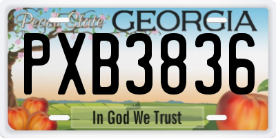 GA license plate PXB3836