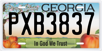 GA license plate PXB3837