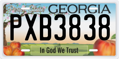 GA license plate PXB3838