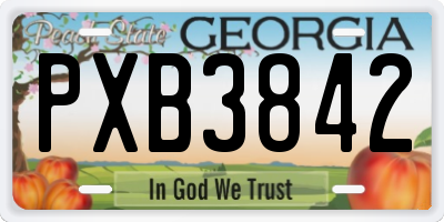 GA license plate PXB3842
