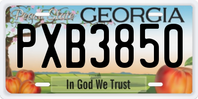 GA license plate PXB3850