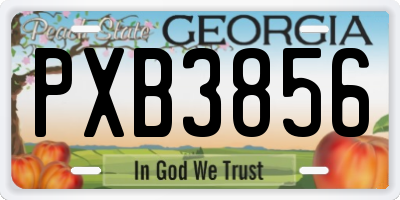 GA license plate PXB3856