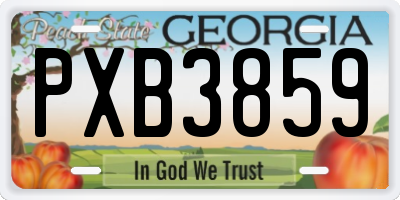 GA license plate PXB3859