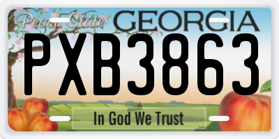 GA license plate PXB3863