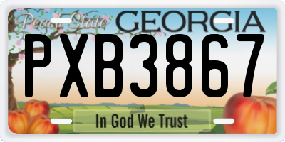 GA license plate PXB3867