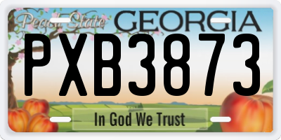 GA license plate PXB3873