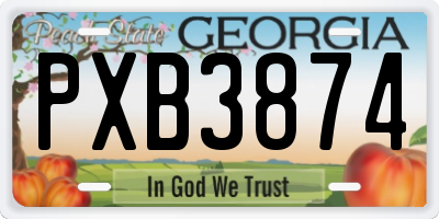 GA license plate PXB3874
