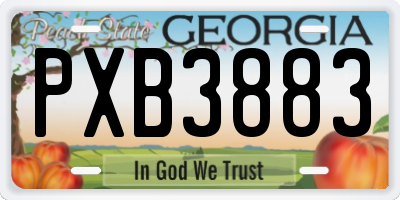 GA license plate PXB3883