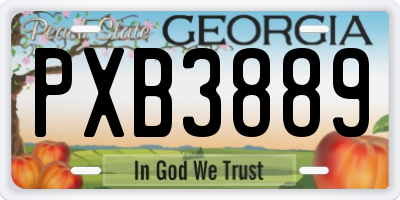 GA license plate PXB3889