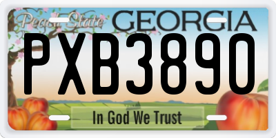 GA license plate PXB3890