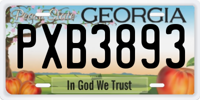 GA license plate PXB3893