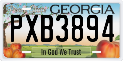 GA license plate PXB3894