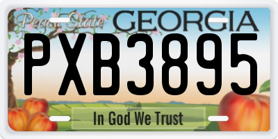 GA license plate PXB3895