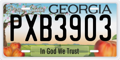 GA license plate PXB3903