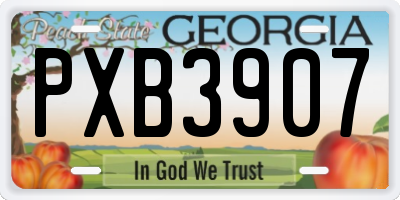 GA license plate PXB3907